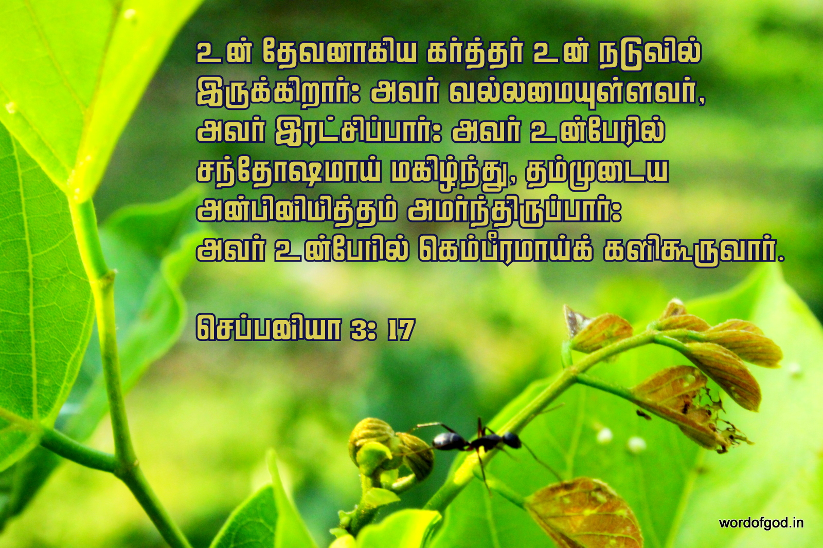 4 Tamil Christian Wallpapers by Cathie Simon | Free Christian Resources